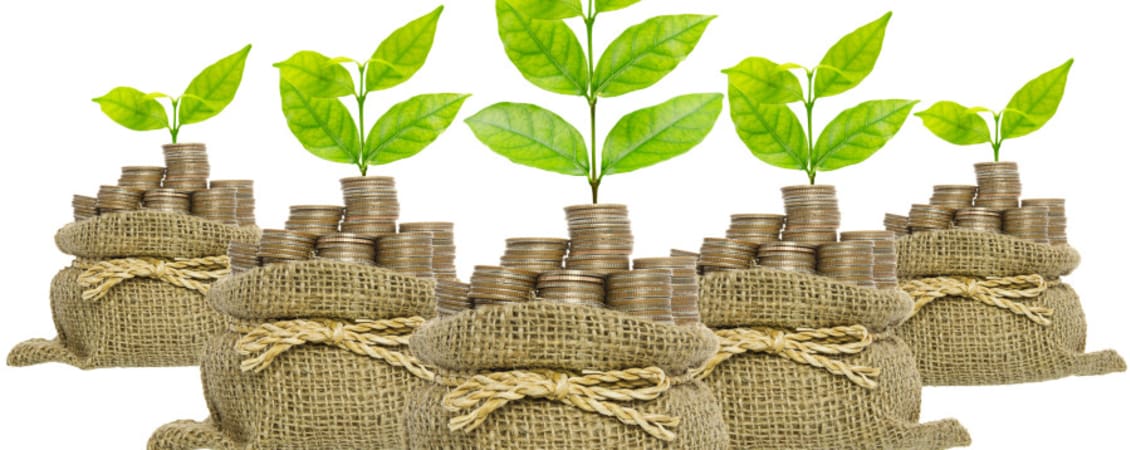 Death of an ISA Investor - news article image