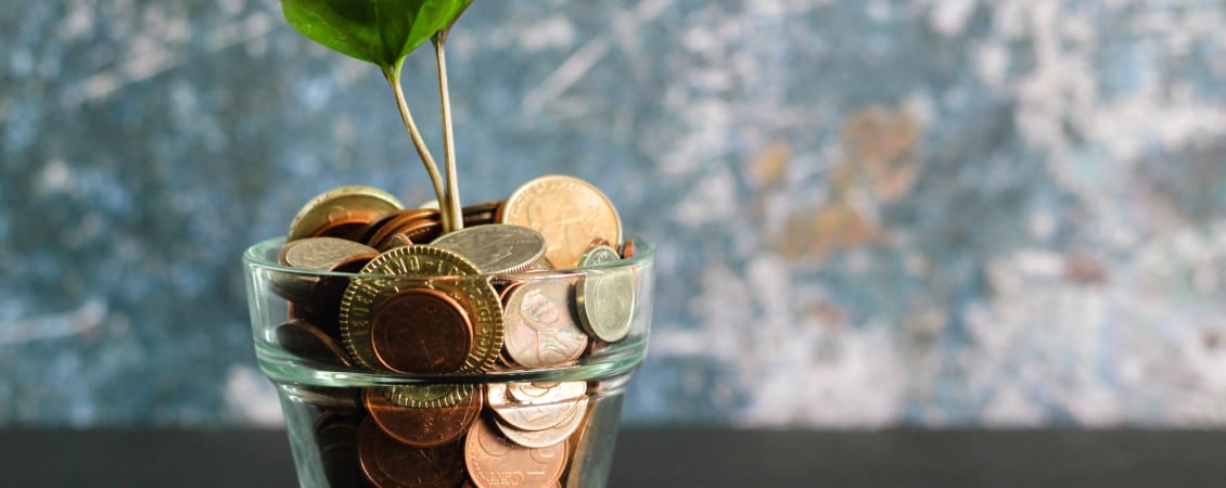 COVID-19 Advice for business - self-isolation support and regulations - news article image