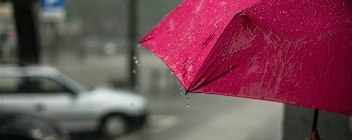 Insolvency and Administration: navigating the storm - news article image