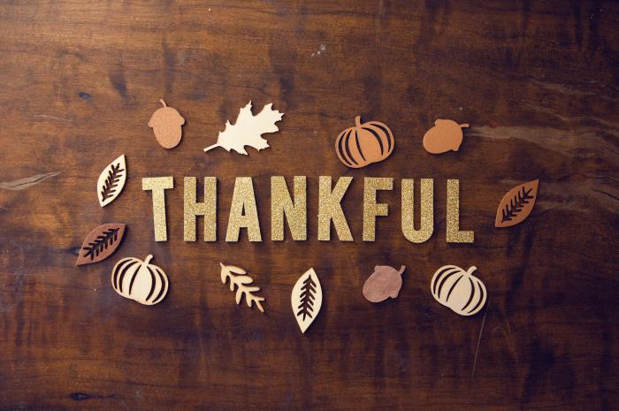 Why our clients are thankful for ShelfGenie