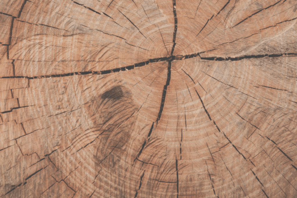 Cost of custom kitchen cabinets depends on wood