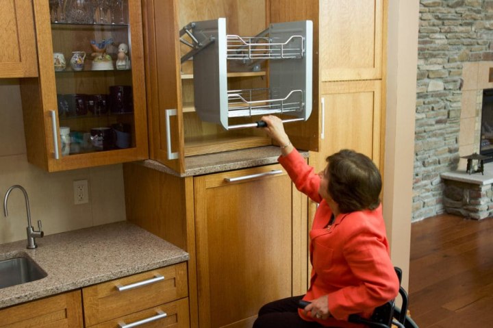 Accessible Under-Sink Storage Woodworking Plan