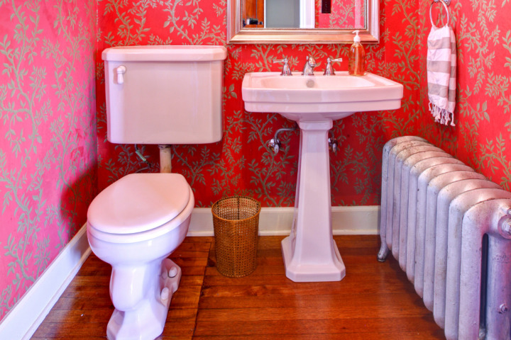 Parisian themed powder room