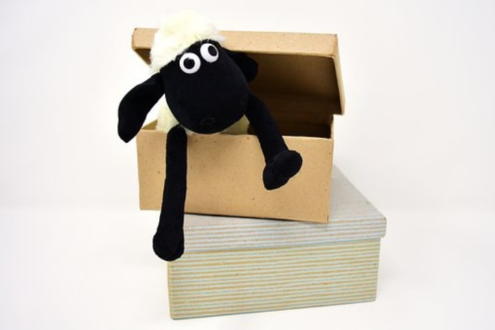 A stuffed toy in a small box