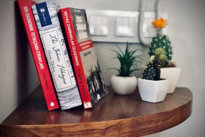 Shelf with three book on it and a succulent plants