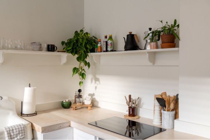 Floating shelves with green plants, bottles and utensils