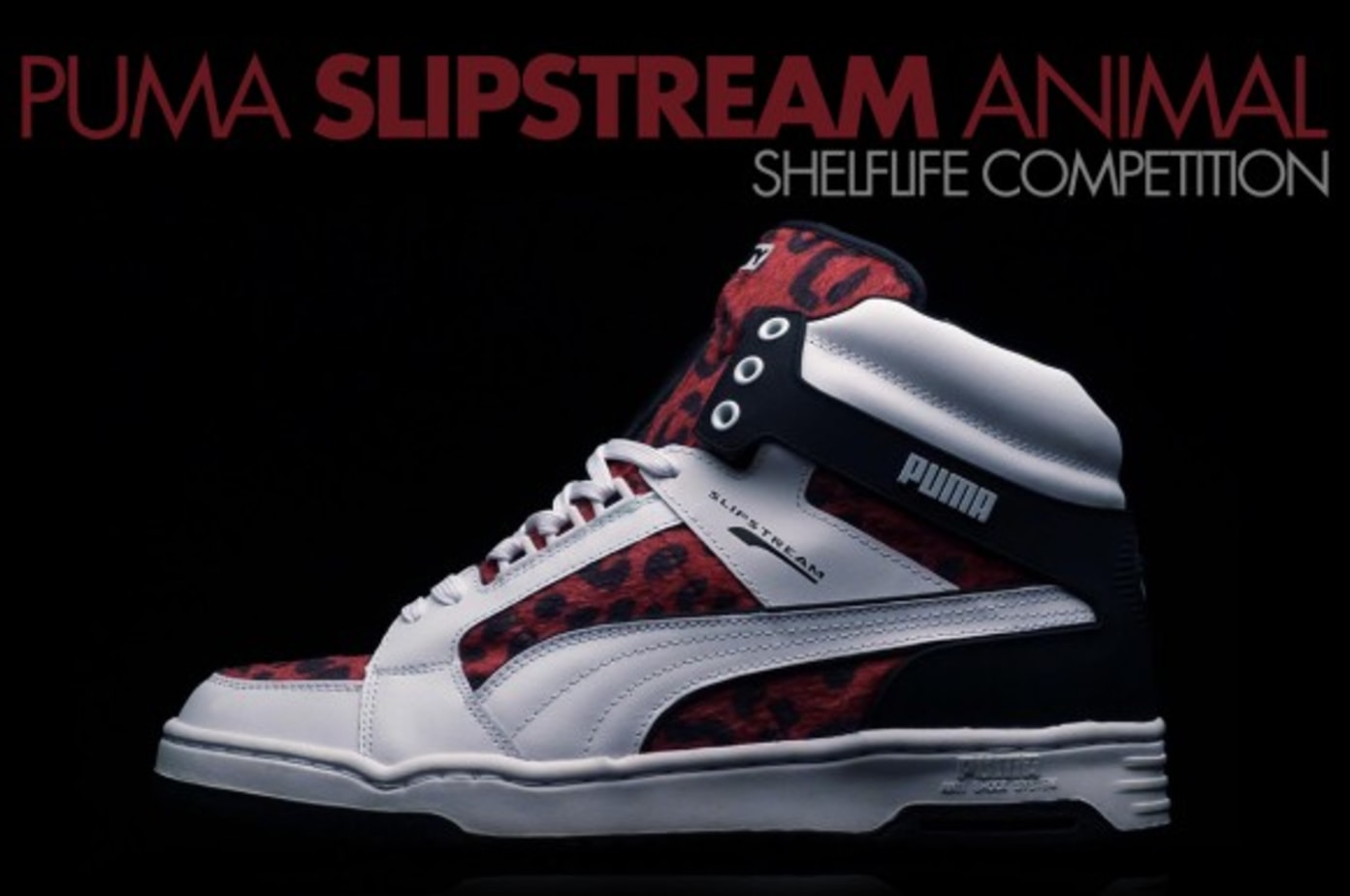 puma slipstream animal