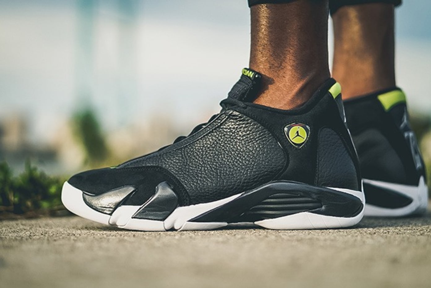 jordan 14 indiglo