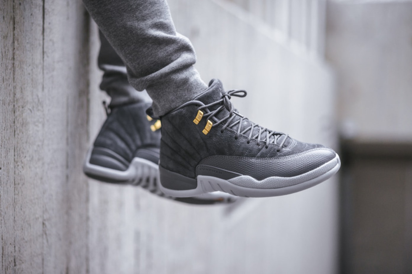 jordan 12 style