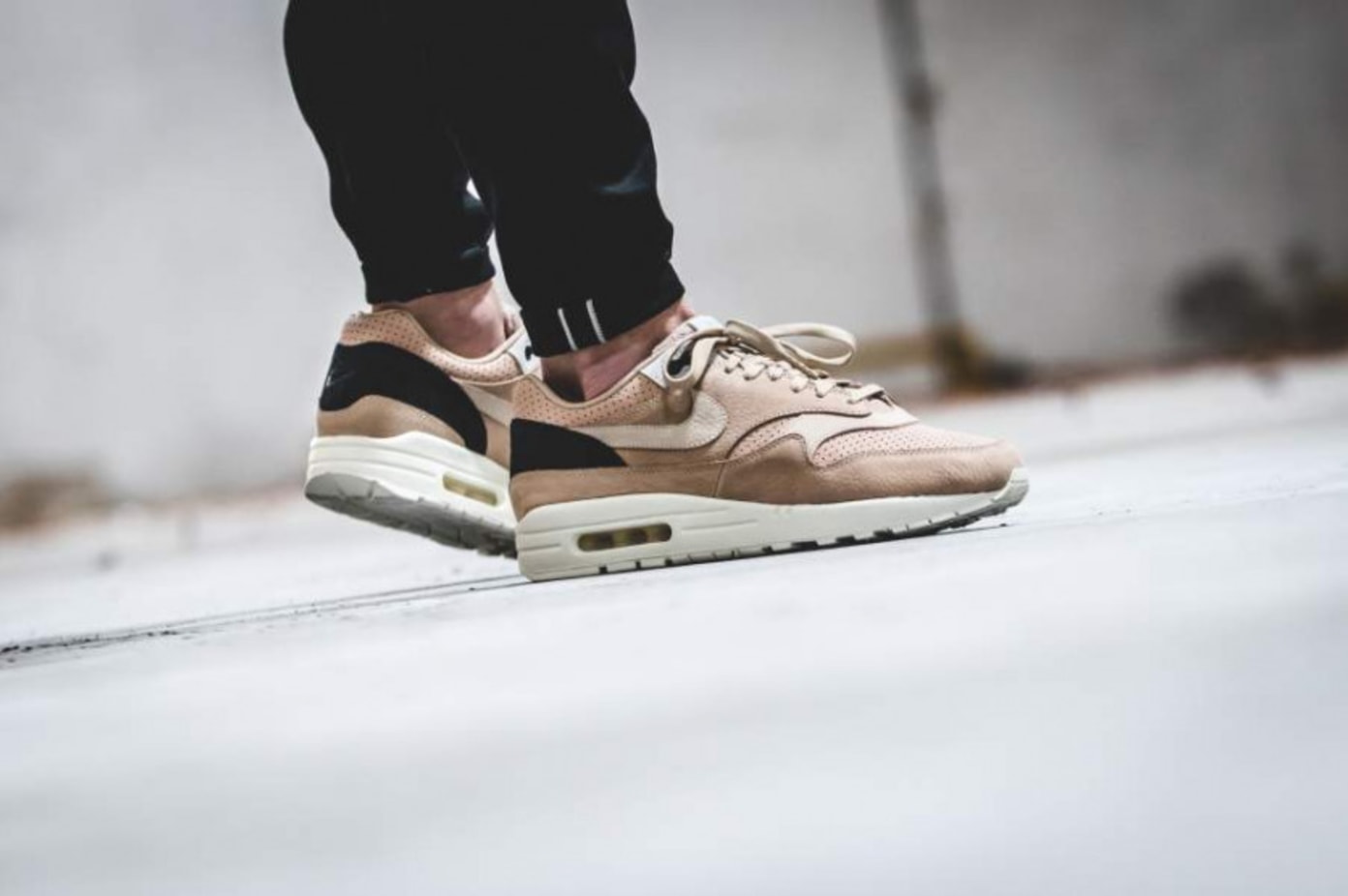 nike air max 1 mushroom