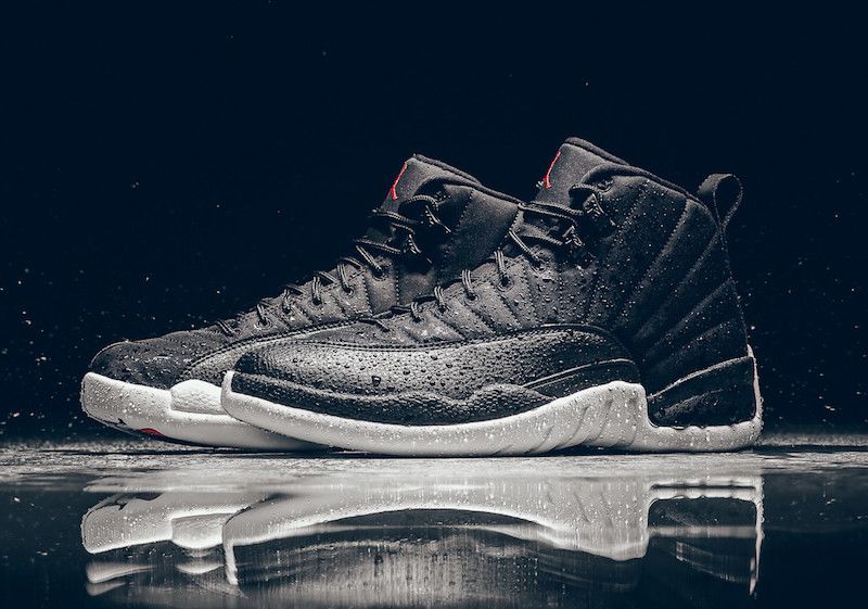 air jordan 12s all black