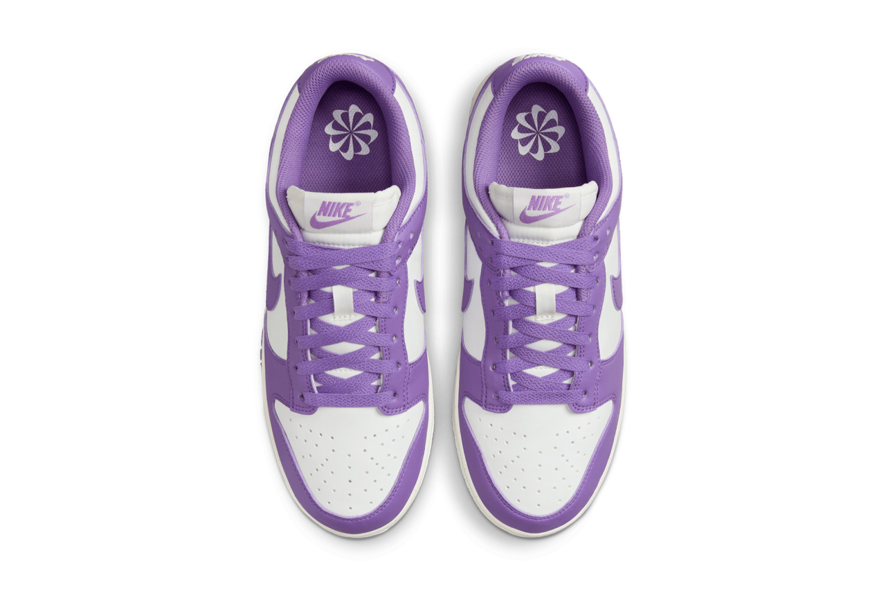 Nike Women's Dunk Low Next Nature | Shelflife