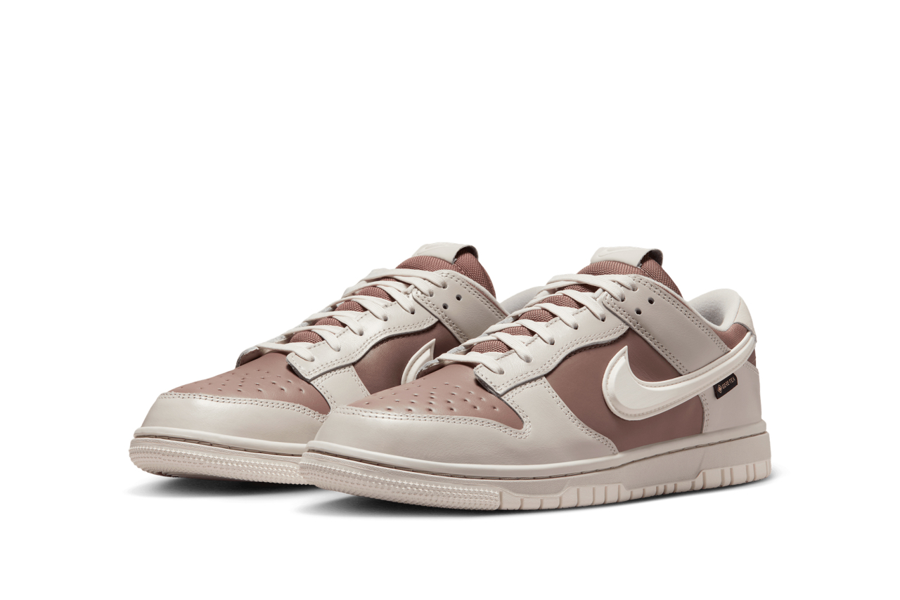 nike jordan low dunk