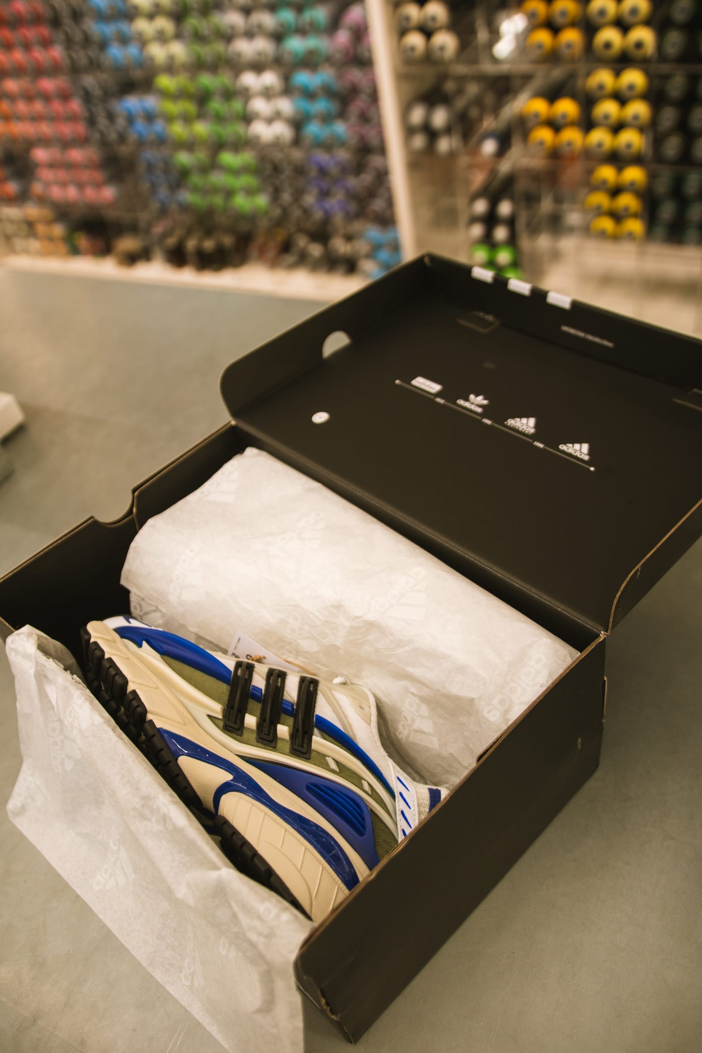 ※値下げ【レア盤】Jellyfish Fan Club Pharrell x Adidas Adistar Jellyfish Raffle Recap | Shelflife