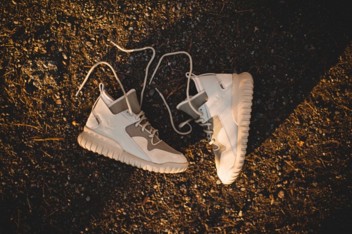 Tubular X â€œHempâ€ | Shelflife