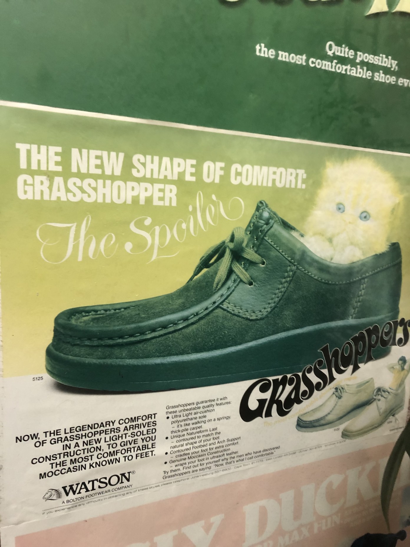 Grasshopper shoes cheap retail stores