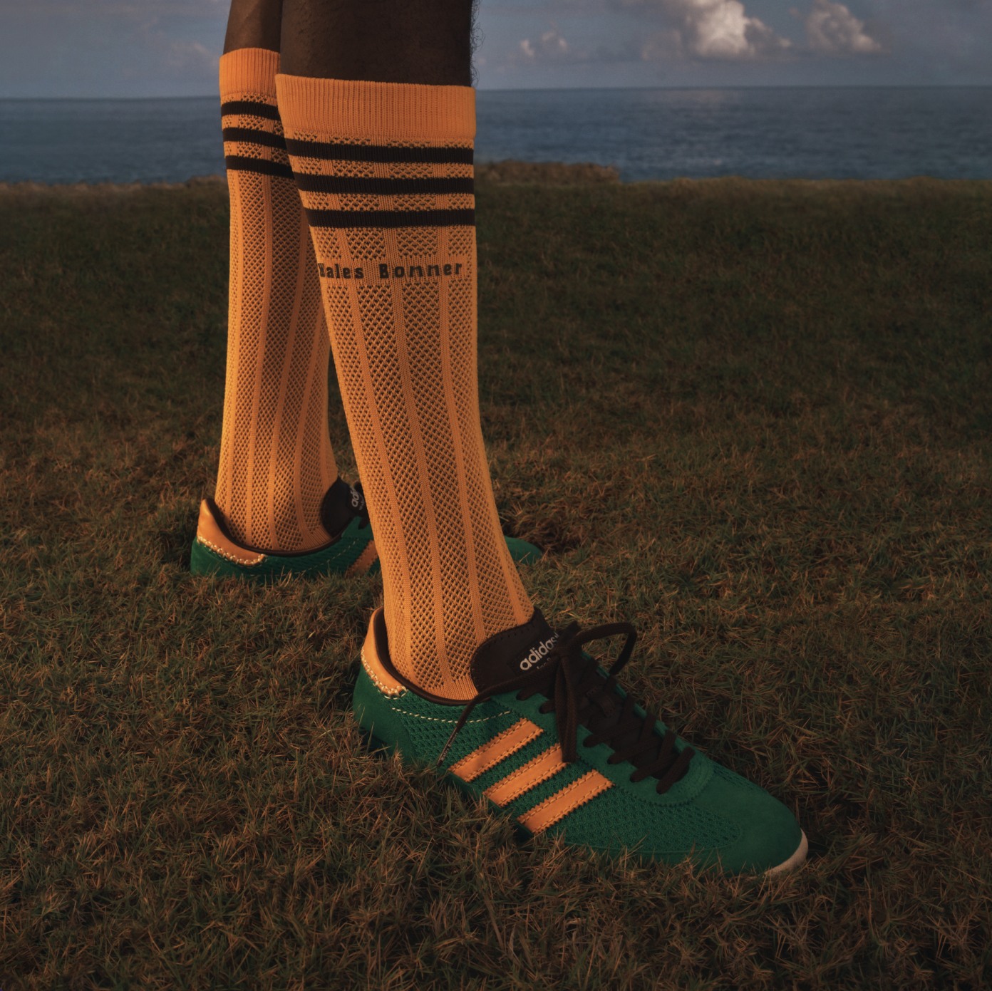 Wales Bonner 23SS 【タグ付き】 adidas x Wales Bonner SS23 | Shelflife