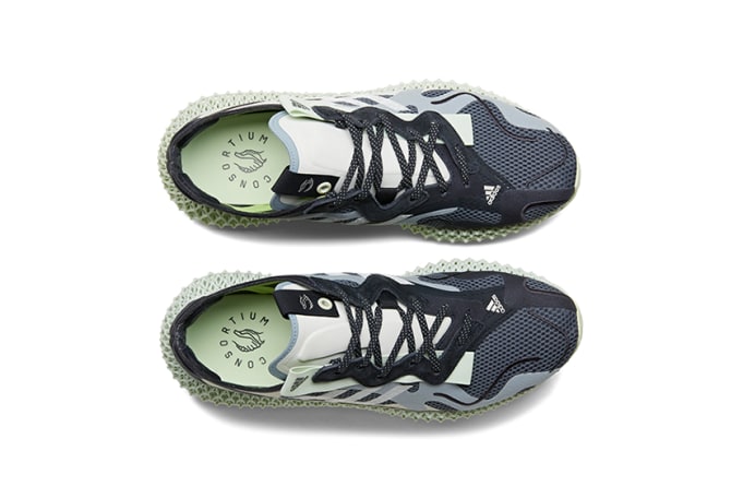 consortium 4d runner