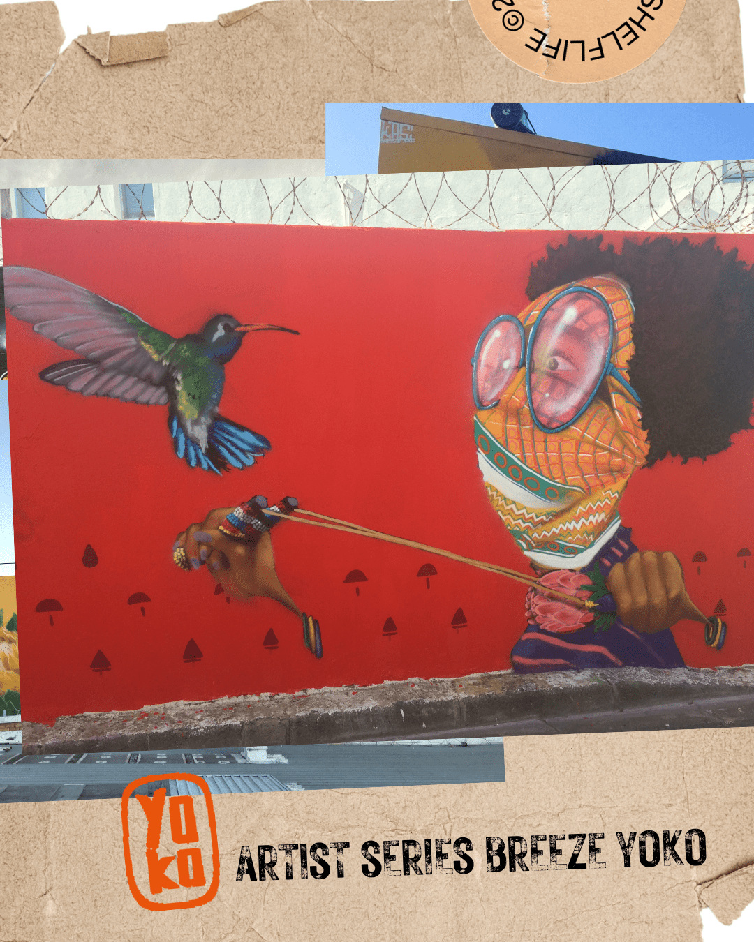 Artist Series Breeze Yoko Shelflife