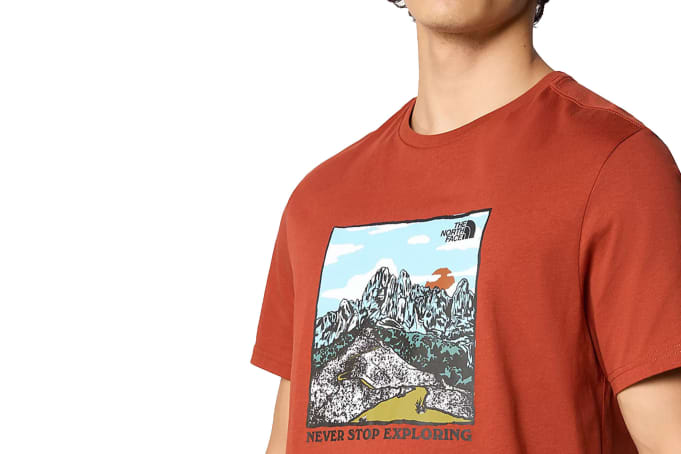 THE NORTH FACE Graphic T-Shirt Brandy Brown S : : Fashion