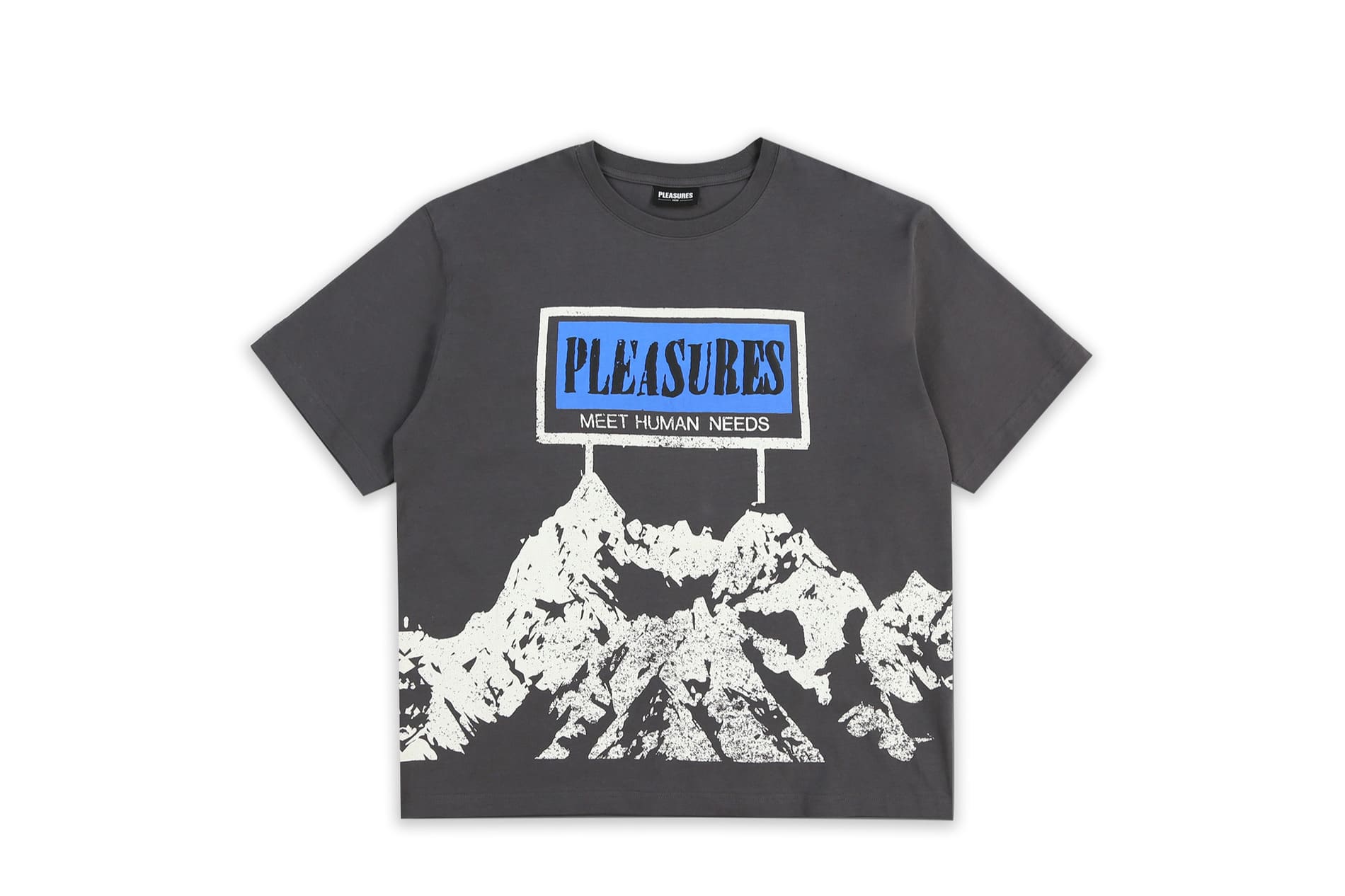 Pleasures Human Needs Heavyweight Tee | Shelflife