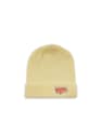 Shelflife Tag Logo Beanie