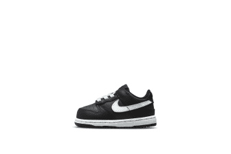 Nike Dunk Low Toddler