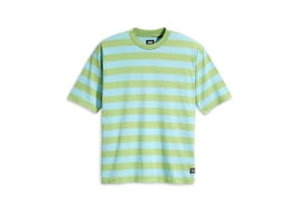 Levi&#039;s Skate Graphic Boxy Tee