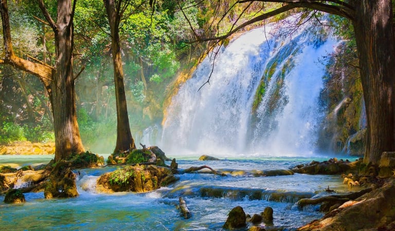 Discover Chiapas Region from your couch. – Mexico Discover Chiapas Region from your couch. – Mexico