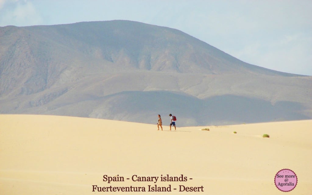 Spain - Canary islands - Fuerteventura Island - Desert
