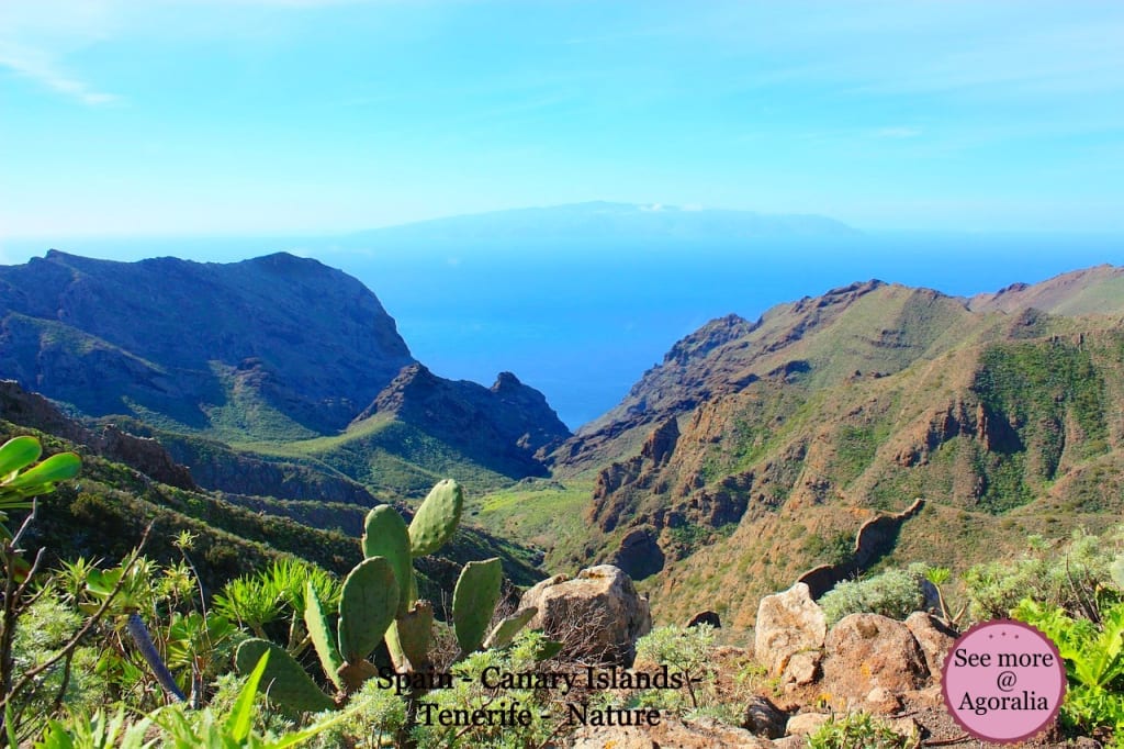 Spain - Canary Islands - Tenerife - Nature