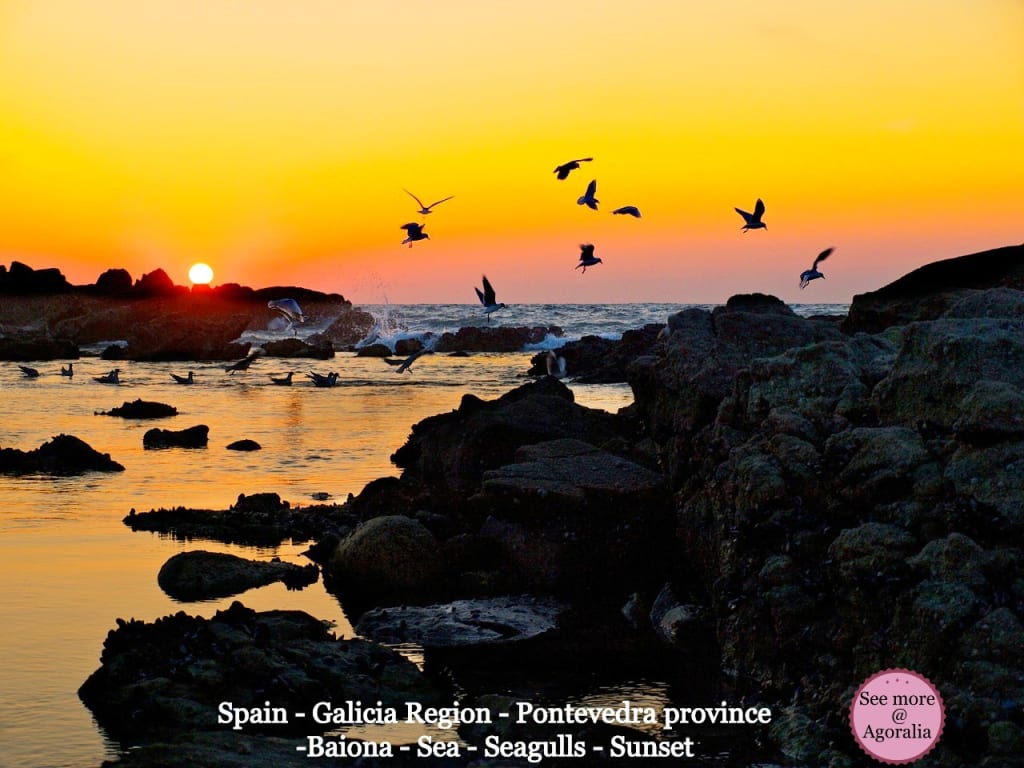 Spain-Galicia-Region-Pontevedra-province-Baiona-Sea-Seagulls-Sunset