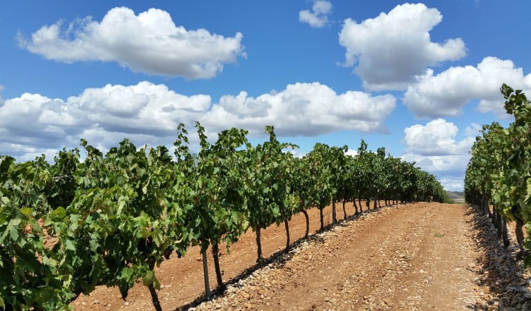 Wonderful Photo Trip to La Rioja Region. – Spain Wonderful Photo Trip to La Rioja Region. – Spain