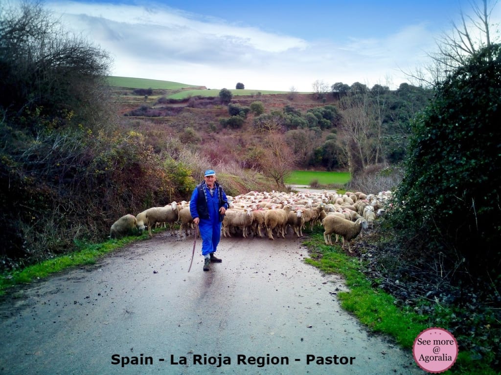 Spain-La-Rioja-Region-Pastor