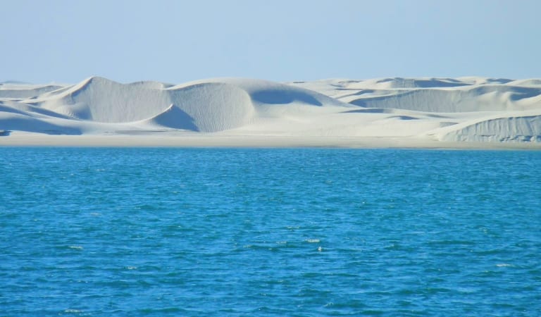 Travel and Discover Baja California Sur State from your couch. – Mexico Travel and Discover Baja California Sur State from your couch. – Mexico
