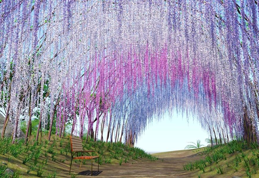 Japan-Park-Wisteria-park