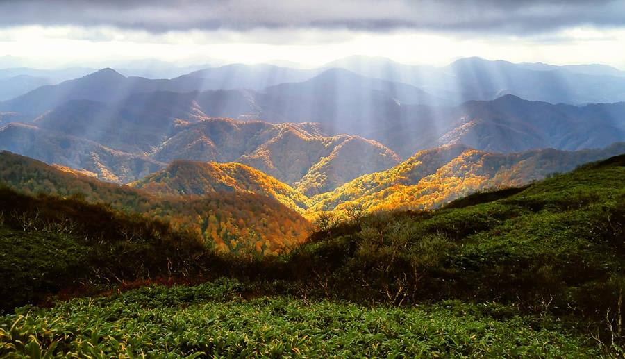 Japan-UNESCO-world-heritage-Shiragamisanchi