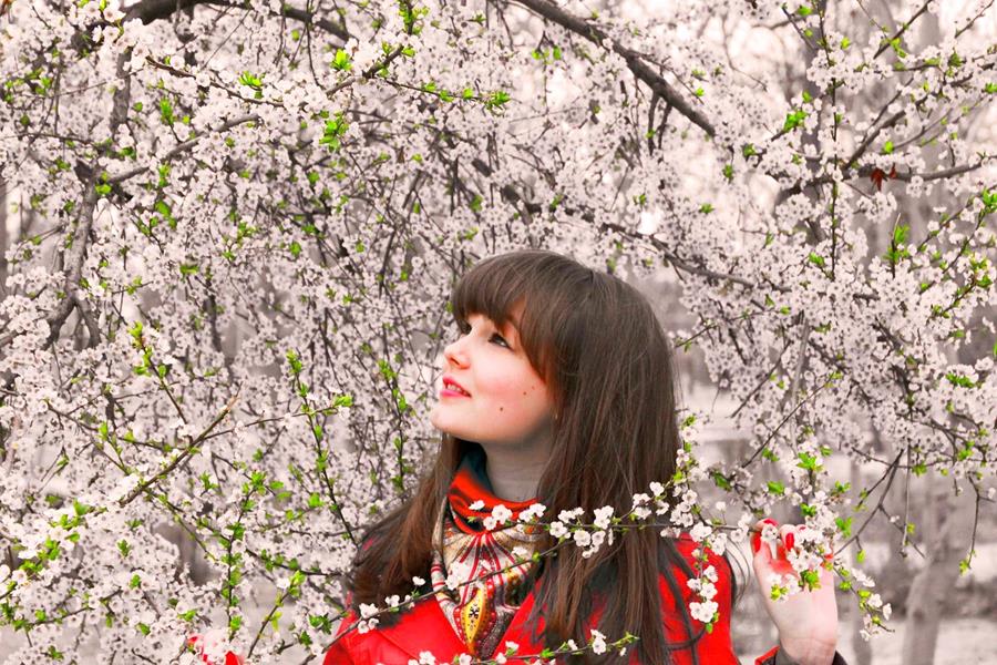 Japan-Cherry-Blossom-and-a-person