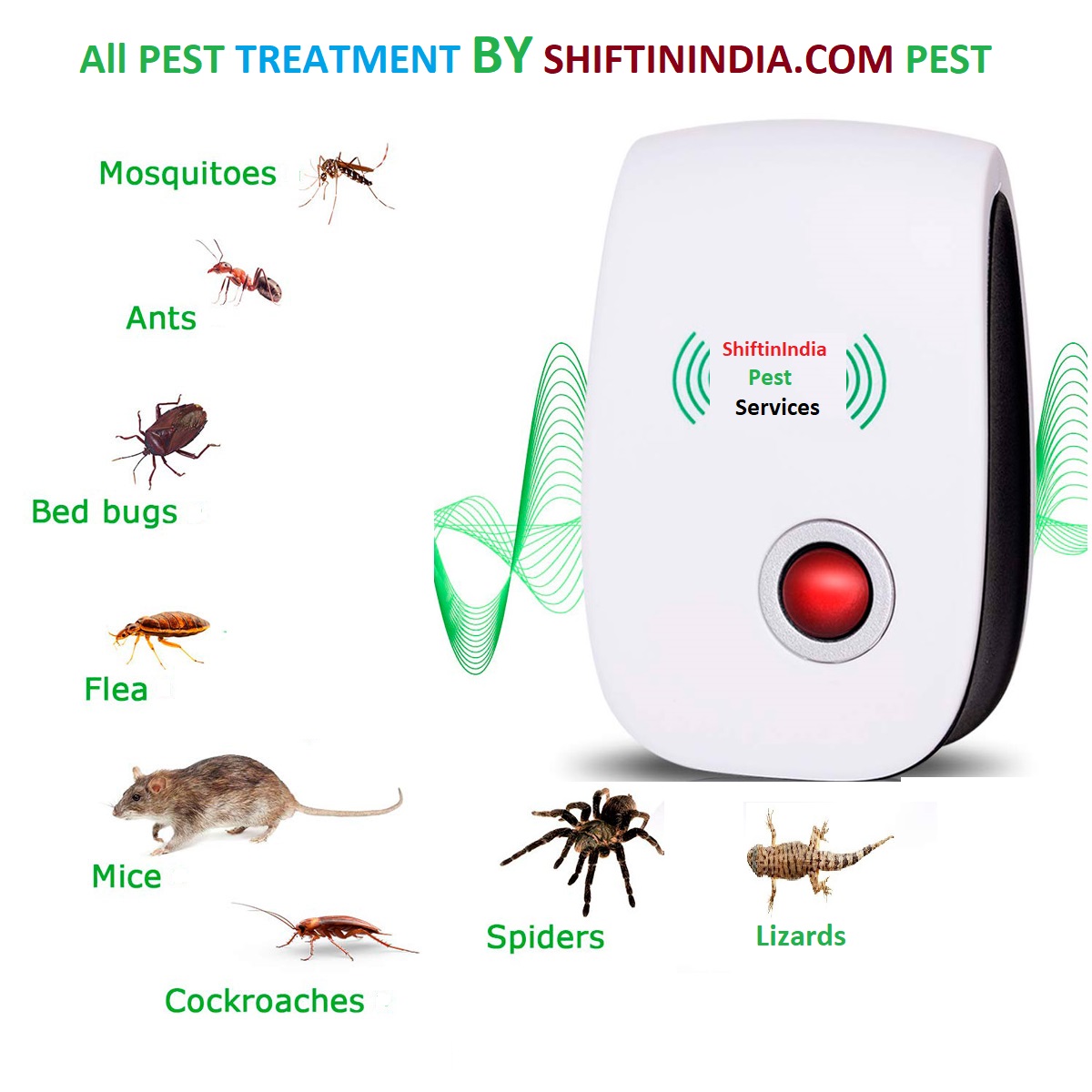 Bed Bug K9 Inspections In Portland