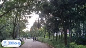 Academic Road