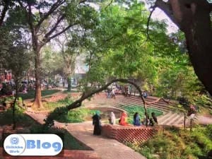 DU-Sociology-Terrace.jpg