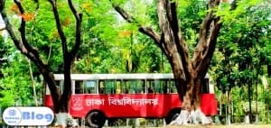 DU-Transport.jpg