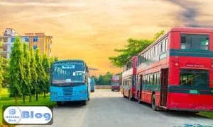 বাস সার্ভিস