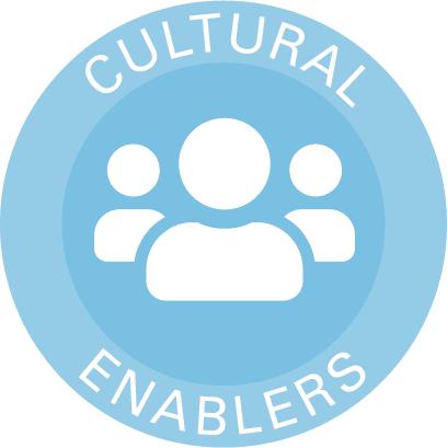 Cultural Enablers Workshop