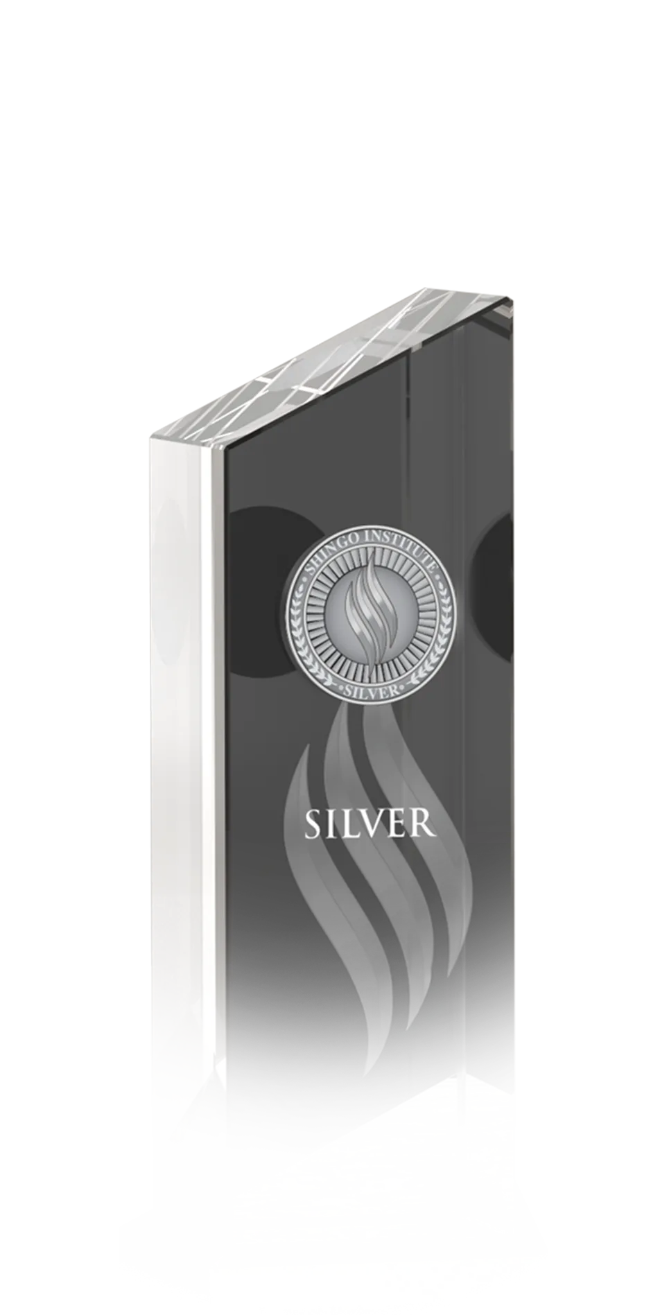 the A shining angular glass trophy with a round silver medal in the center.