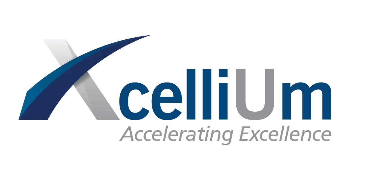 XcelliUm Management Consultancy Ltd logo