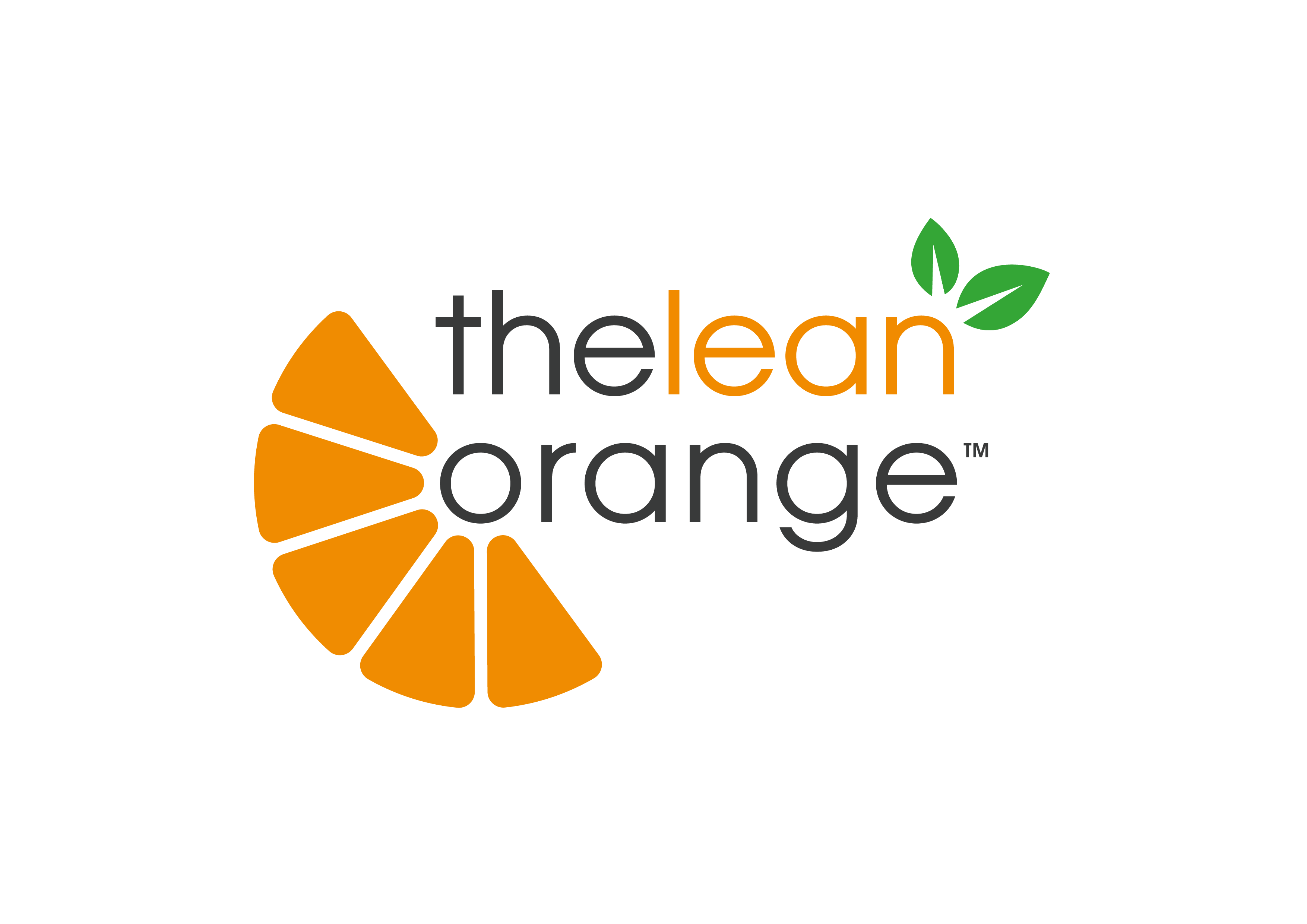 The Lean Orange Ltd logo