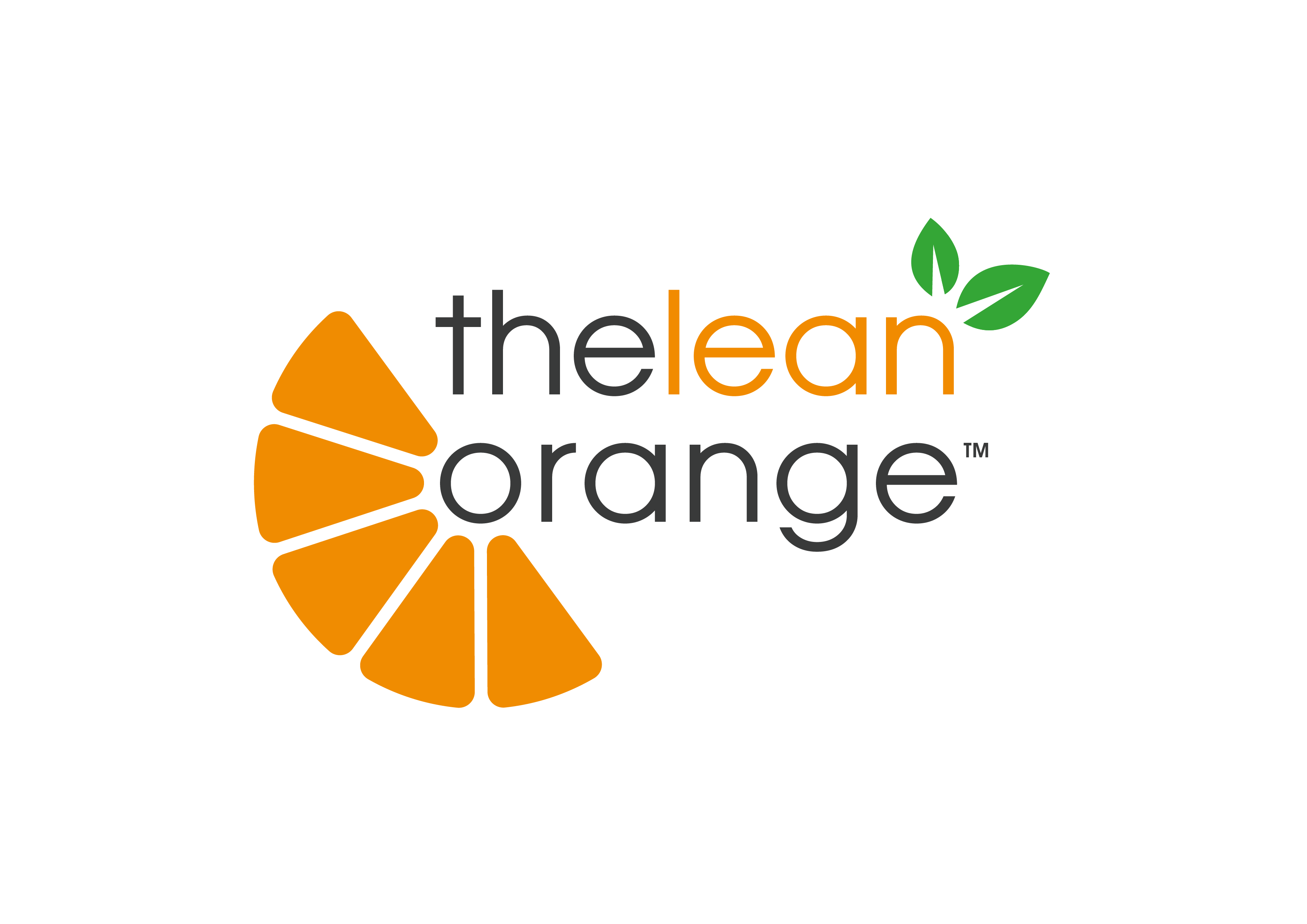 The Lean Orange Ltd logo