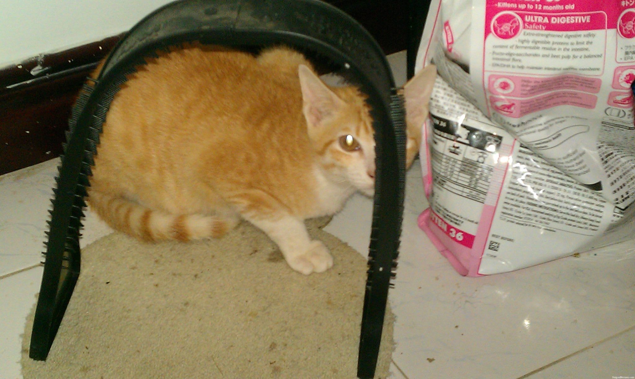 Hoshi's scratch pad