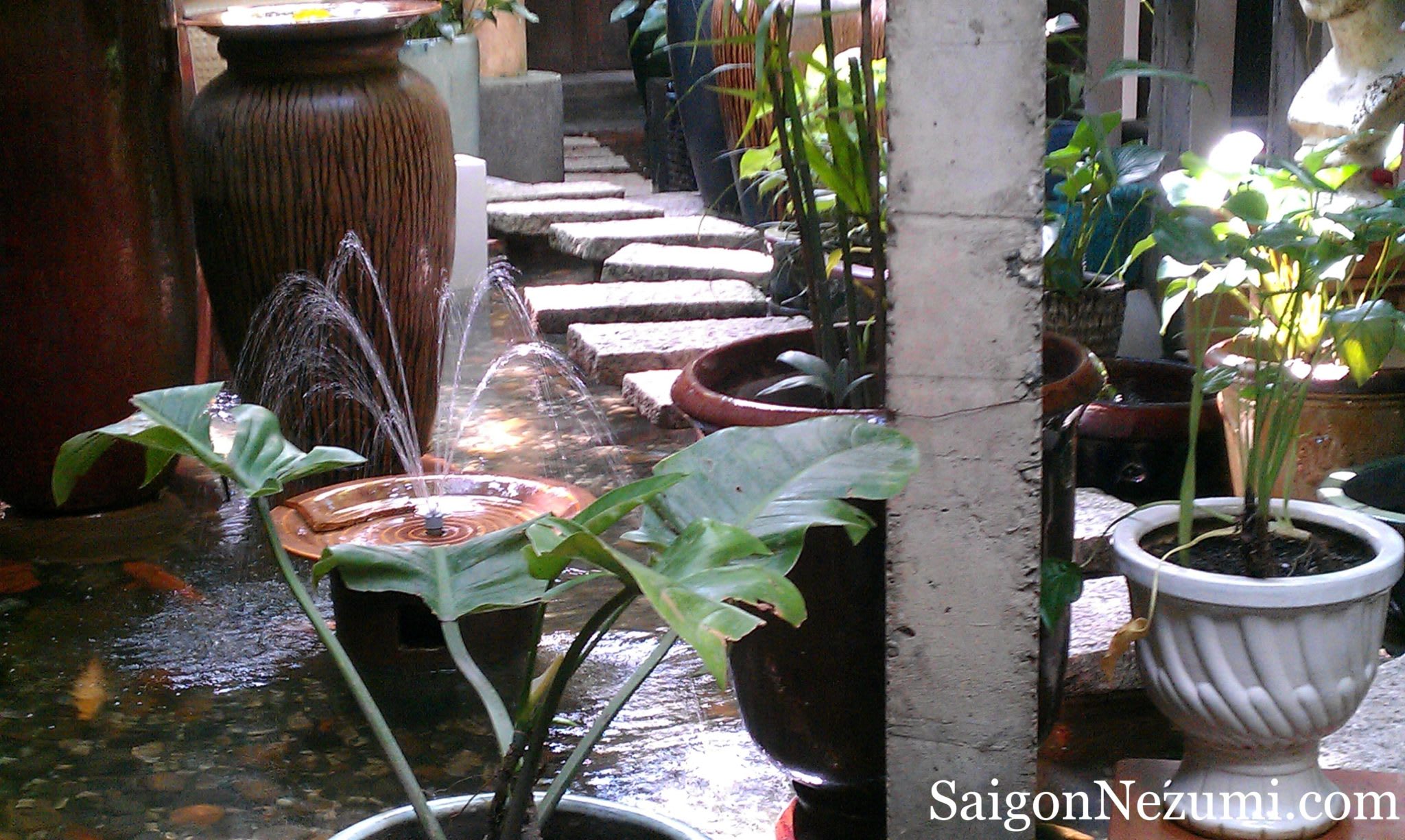 Cafe Tram - Phu Nhuan District, Saigon, Vietnam